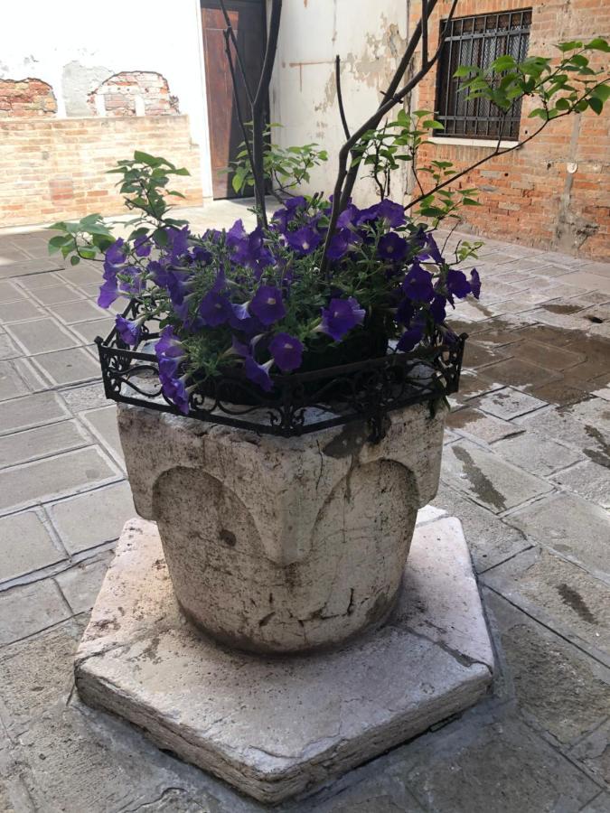 דירות Venetian Infinity מראה חיצוני תמונה